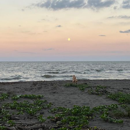 Frias Home Tortuguero Dış mekan fotoğraf